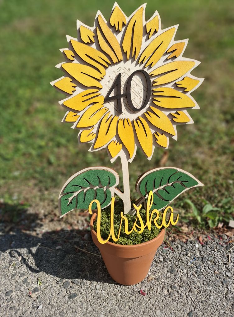 sončnica v glinenem lončku