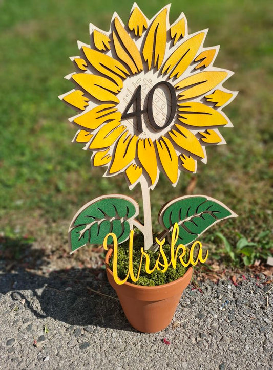 sončnica v glinenem lončku